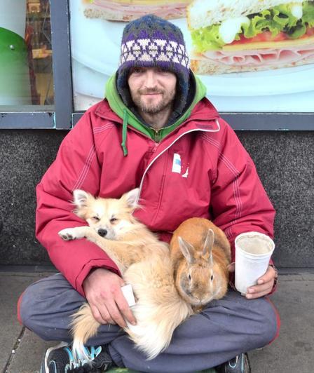 Ирландец с кроликом и собачкой