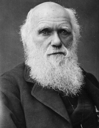 Чарльз Дарвин - теория слепой эволюции
