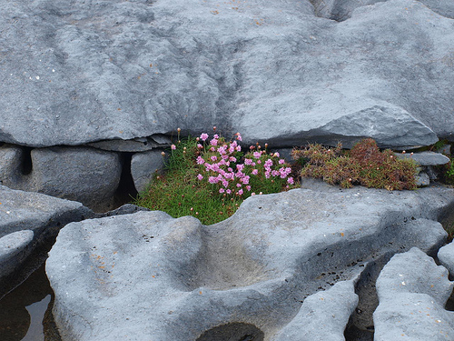 BURREN