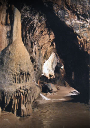 MITCHELSTOWN CAVES