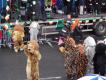 St. Patrick' Day in Newbridge, Ireland