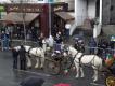 St. Patrick' Day in Newbridge, Ireland