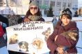 Митинг в защиту бездомных животных в Новочебоксарске