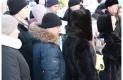 Митинг в Новосибирске 30.01.2016