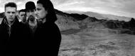  the 'Joshua Tree' 