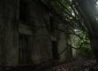abandoned-house-in-a-forest-in-ireland-hasnt-been-touched-for-years-more-pictures-inside