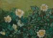 Wild irish roses
