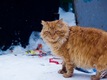 уличная жизнь